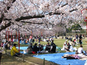 hanami