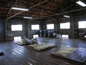 Cooling the rice by hand