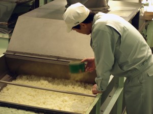 Sprinkling koji-kin onto a conveyor